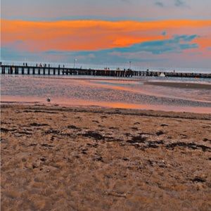 Meet your Posher, Millie